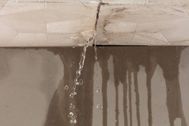 Professional Water Damage Repair technician working in Bullard, TX